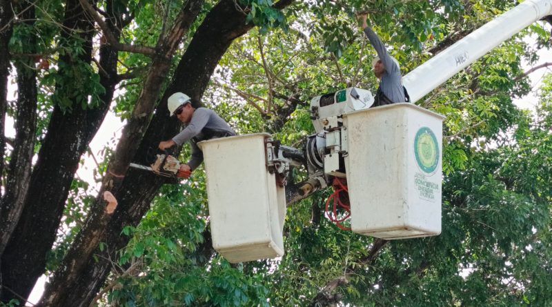 Trabajos preventivos optimizan servicioeléctrico para más de 200 mil barineses