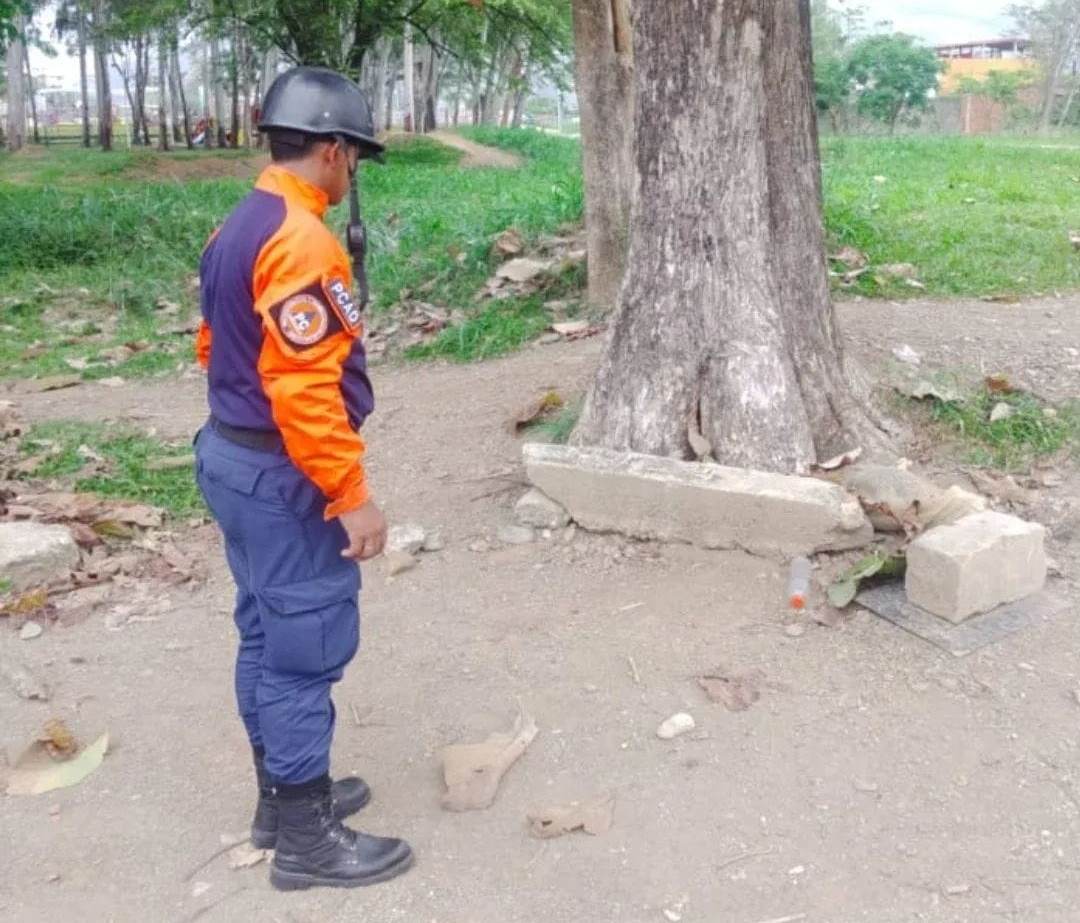 Protección Civil y Bomberos MunicipalesAtienden situación por enjambres de abejasen el Parque Los Eucaliptos de Socopó
