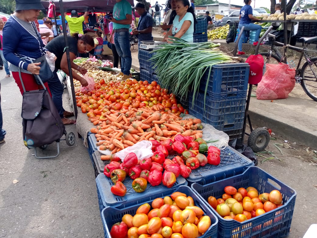 Precio del Tomate y otros rubrosse eleva en venta de verduras