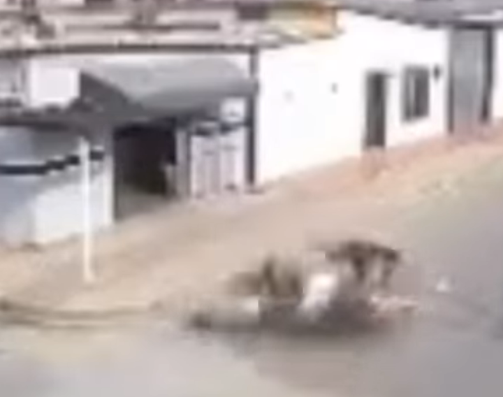 Imprudencia fatal en Socopó«Locura motorizada» cobra la vida depastor evangélico en colisión de motos