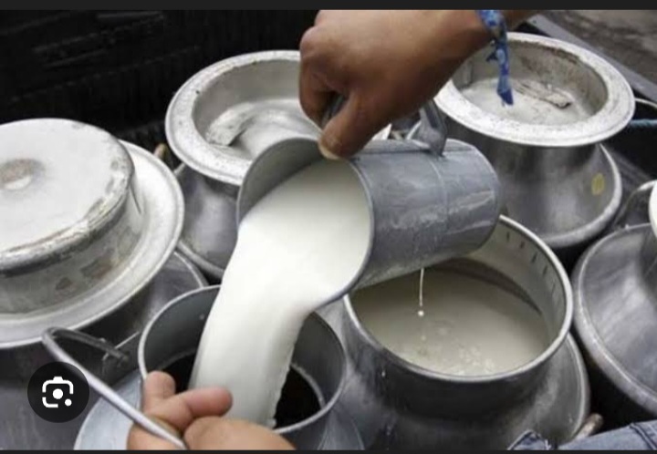 Productores de leche en el municipioSucre mantienen distribución del rubro