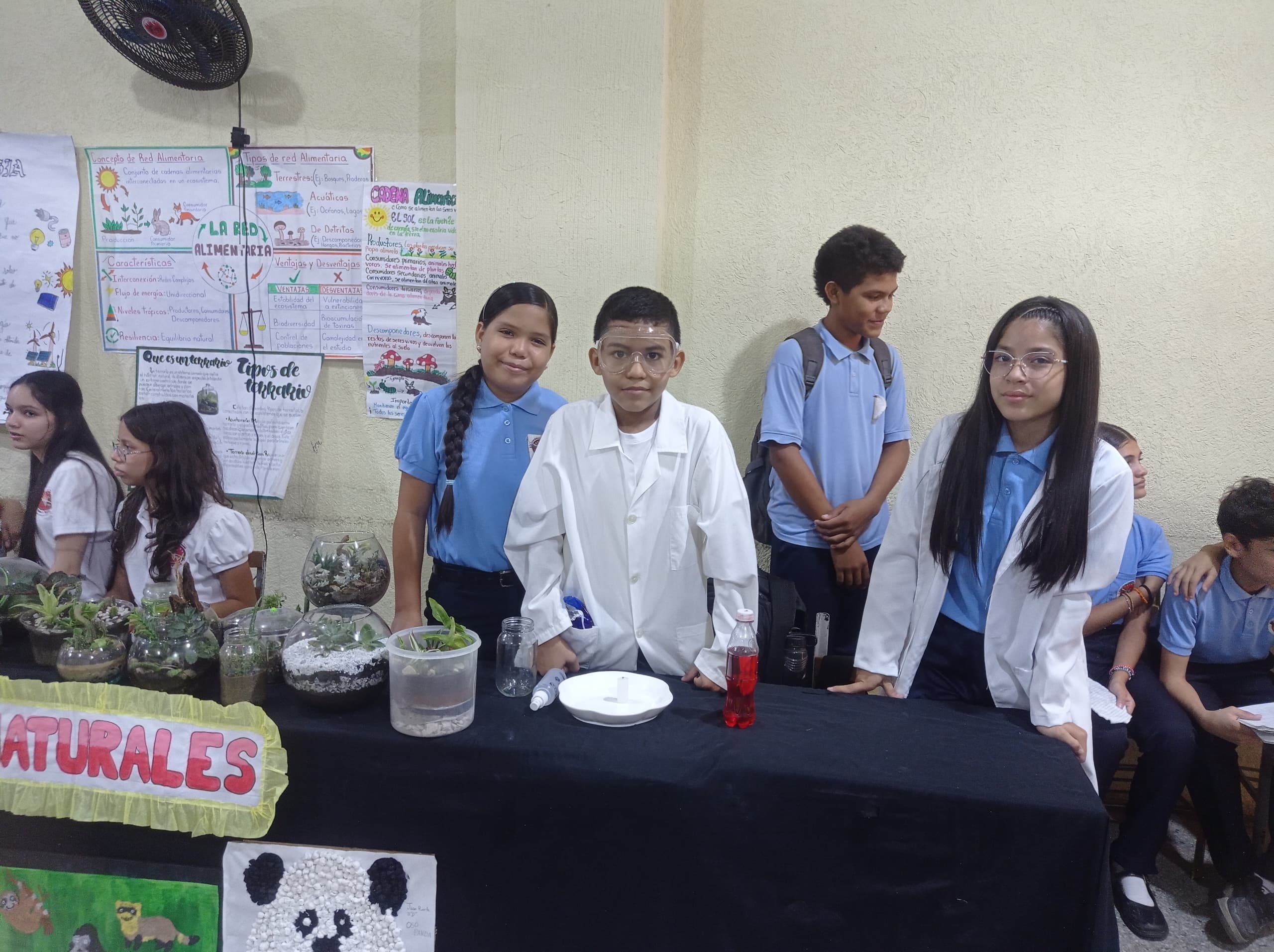 Concluyó con éxito la Feria de Cienciasen el Liceo «4 de Febrero»