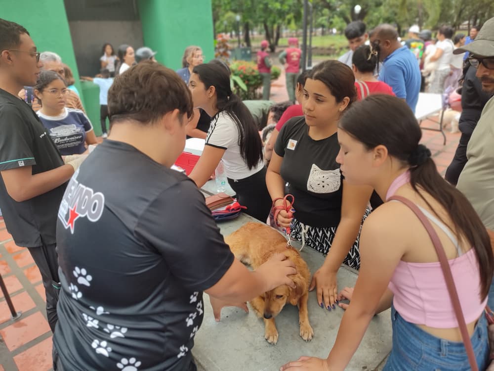 Misión Nevado y Somos VenezuelaJornada de atención veterinariase cumplió en Parque La Federación