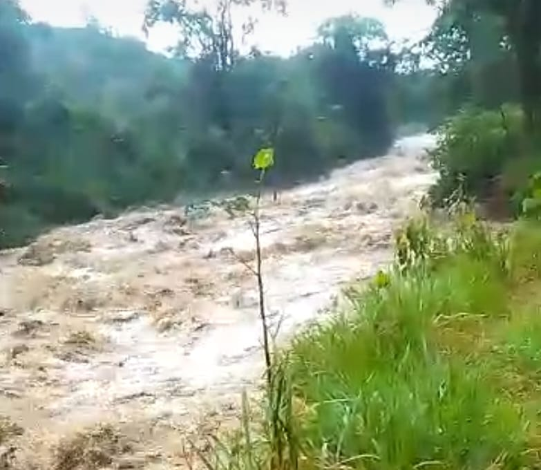 Alerta autoridades de BarinasHabitantes de la zona alta de Sabaneta quedanincomunicados tras crecida de ríos y quebradas