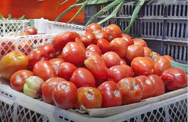 En mercados y bodegasKilo de tomate alcanza los 2000 milbolívares y cartón de huevos 4 mil 200 Bs