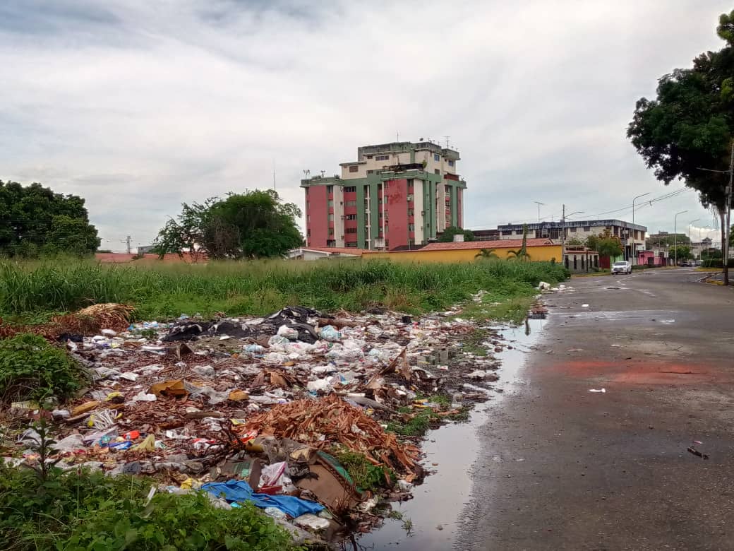 Convertido en vertedero de basura terrenoadyacente al Paseo Los Trujillanos