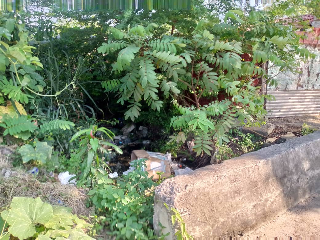Caño que atraviesa el barrio El Canaltomado por la basura y el monte
