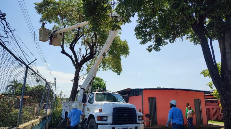 Aplican control de vegetación en circuitos eléctricos de Barinas