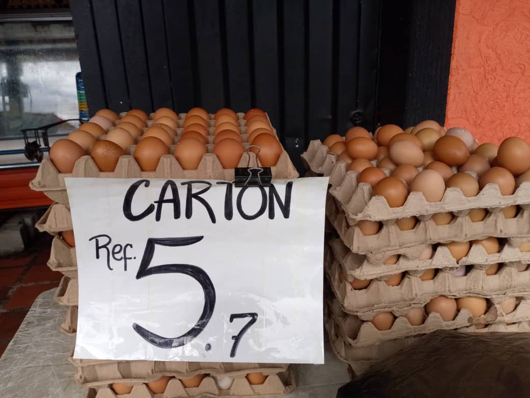 Entre  5 .7 y hasta 9  dólares  piden por un cartón de  huevos en bodegas y comercios