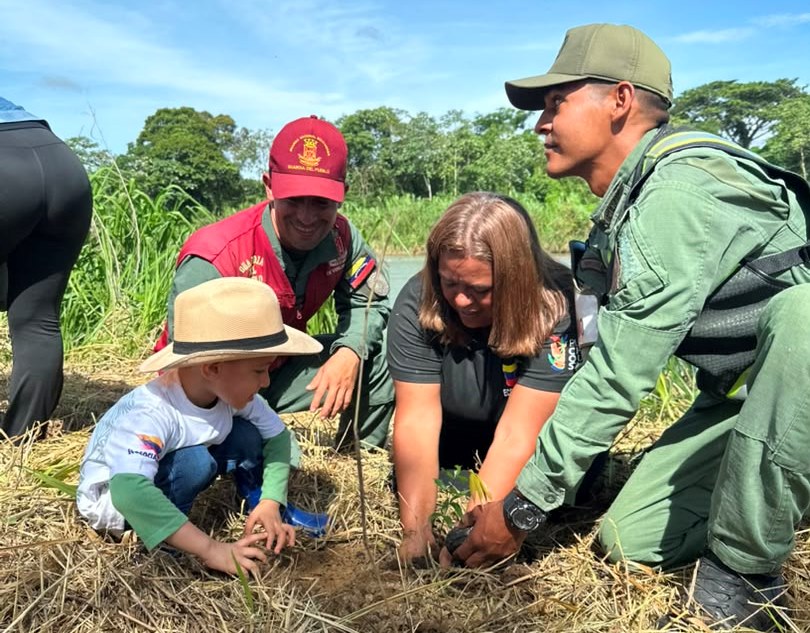 Plan Nacional de Reforestación ChuquisacaLlega al municipio Antonio José de Sucrelogrando la siembra de 2.571 plantas forestales