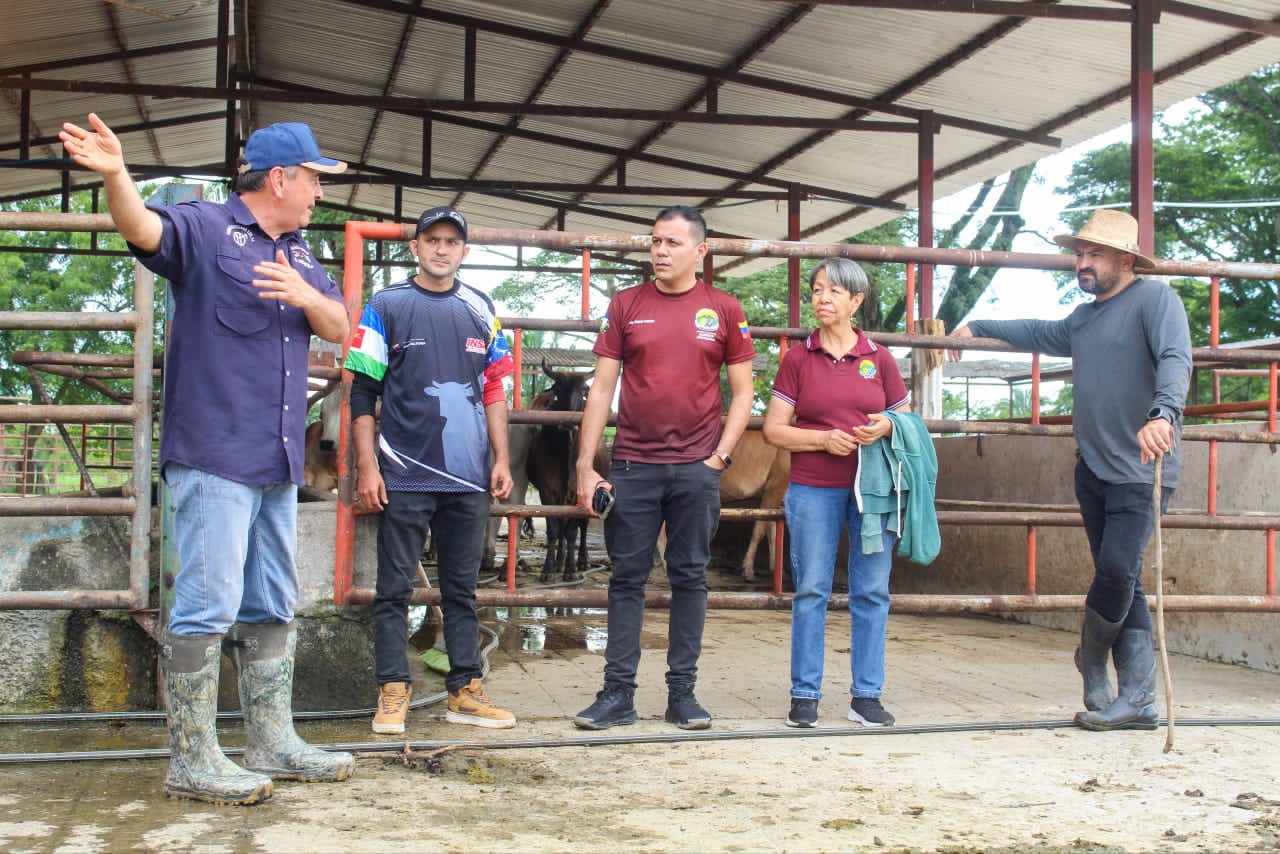 ¡Revolución Productiva!                                    Barinas impulsa la ganadería regenerativa y agroecológica para potenciar la producción de carne y leche