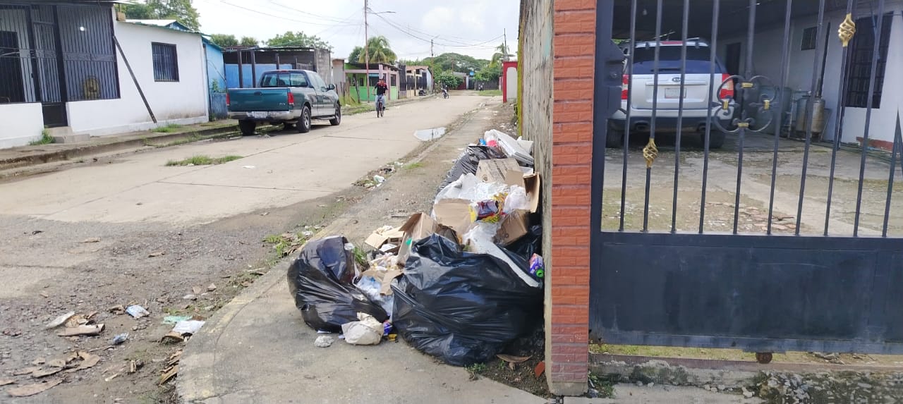Concejal Guillermo Laya elevó la preocupaciónEn Sosa temen que la no recolección de basura incremente casos del mortal dengue hemorrágico