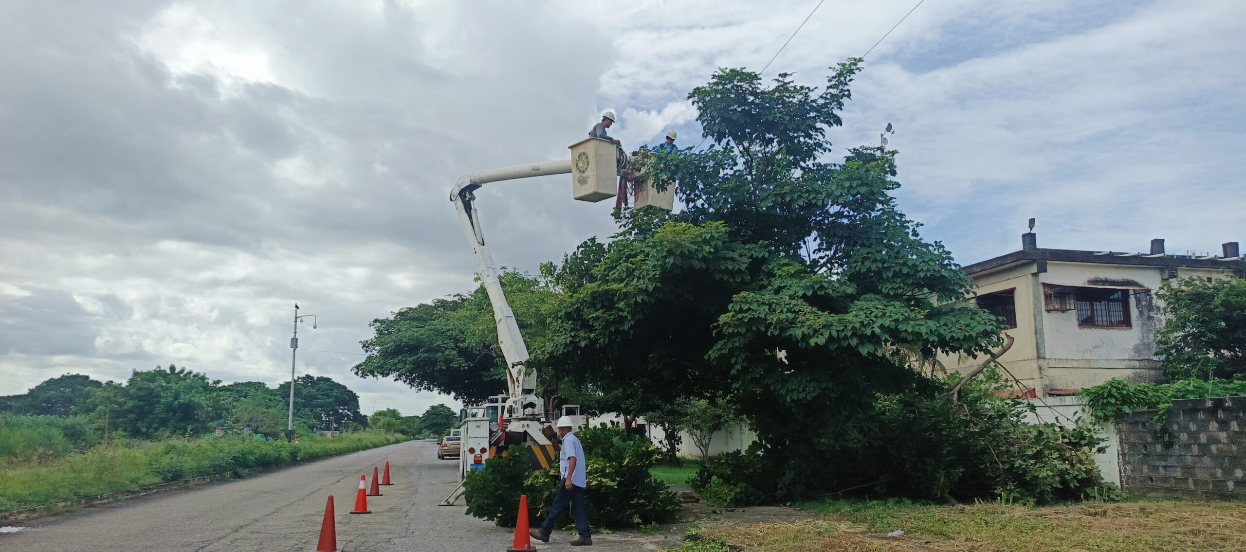 Control de vegetación abarcó más de 28 mil metros de redes eléctricas en Barinas ‎ ‎