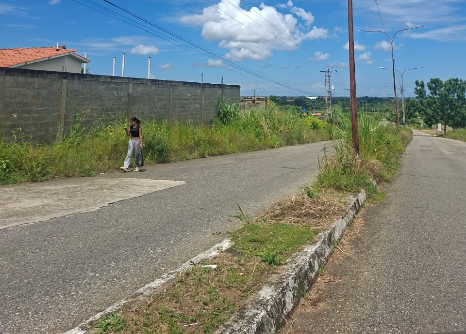 De Ciudad Varyná                                                                           Habitantes exigen a la Alcaldía jornada de desmalezamiento en la avenida del sector Las Cumbres