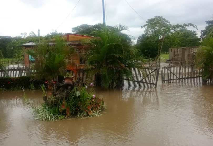 En Pedraza                                                       Familias de Merepure y Chuponal  afectadas por inundaciones por desbordamiento del río La  Acequia