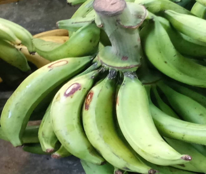 Equivalente a 2400 bolívares10 mil pesos piden por 4 kilosde plátano en Ezequiel Zamora