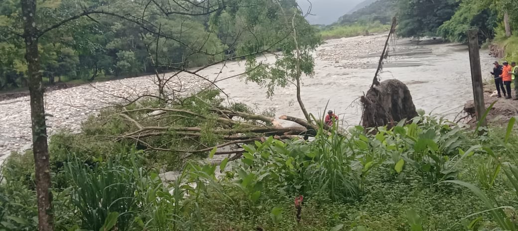 Bases del puente de La Barinesarequieren mantenimiento