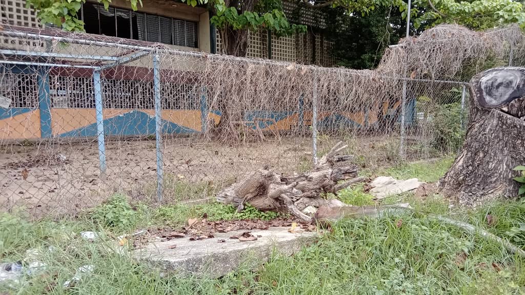 Cerca perimetral del Liceo Herminio LeónColmenares requiere recuperación
