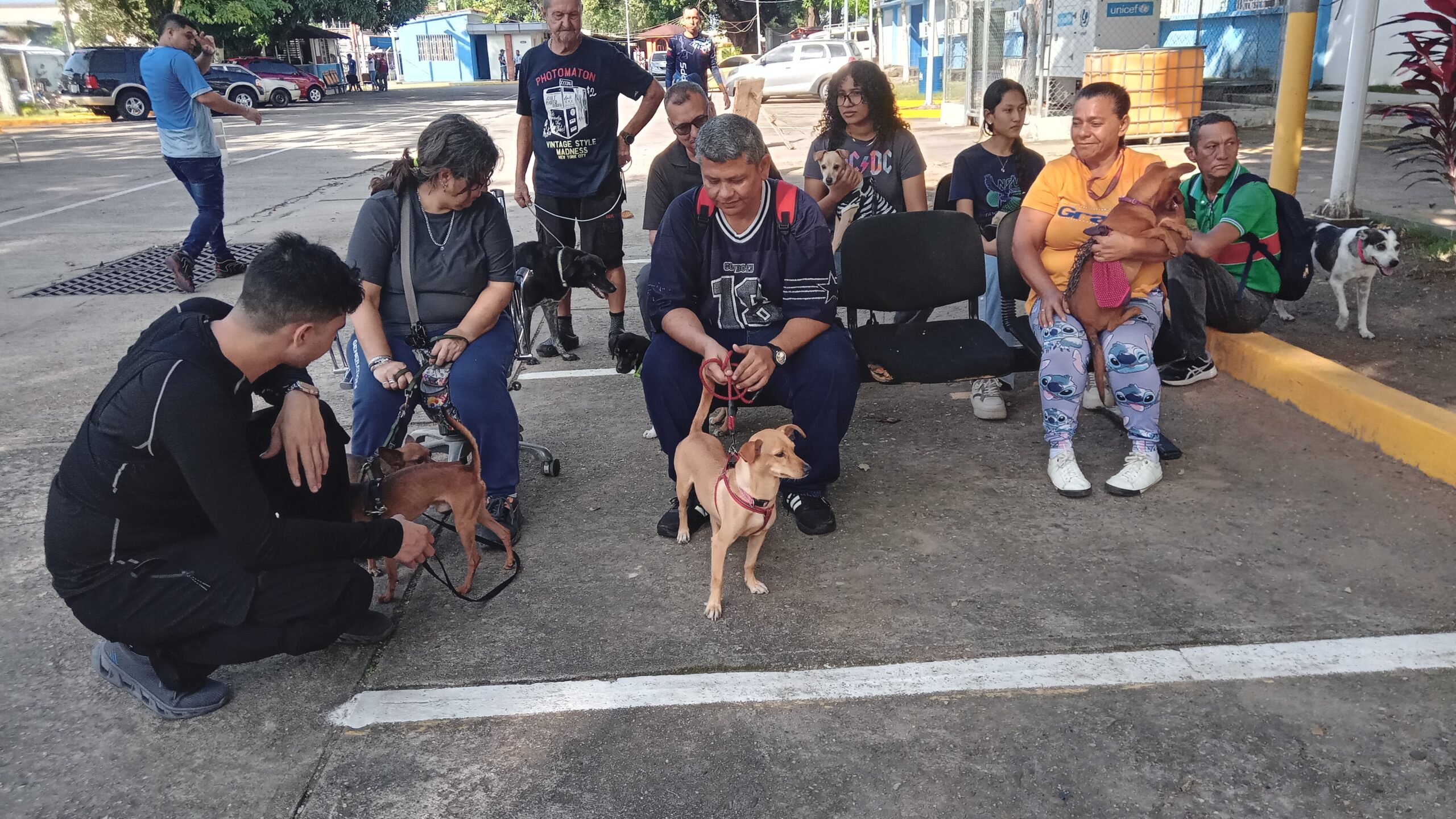 Más de 70 mascotas fueron atendidas en jornadaantirrábica realizada en Dirección Estadal de Salud