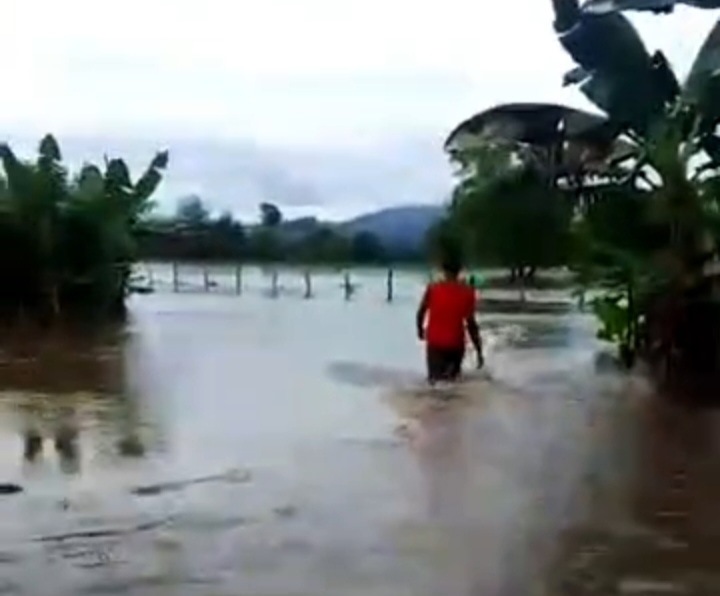 En el municipio Andrés Eloy BlancoMás de 200 familias de Puerto Vivasinundadas por crecida de los ríos Uribante y Doradas