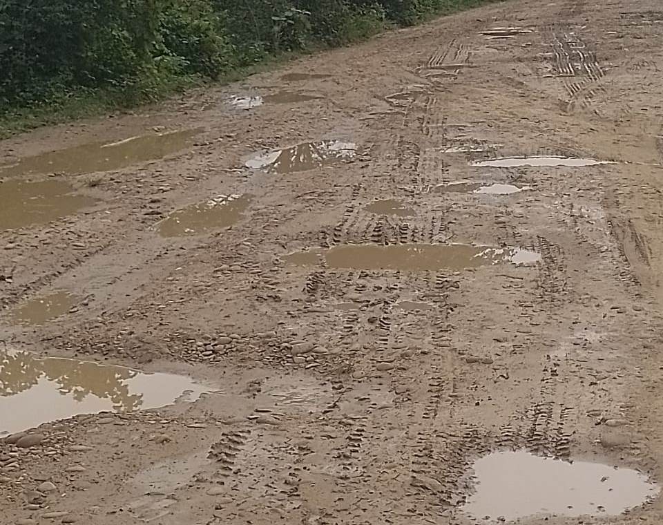 Atención piden para víade Puerto Nutrias a Guamito