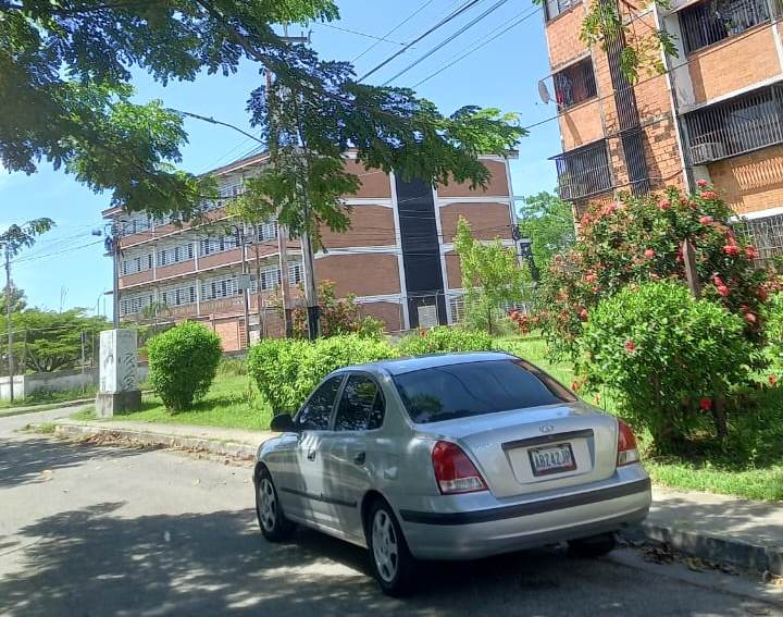 Poda de árboles pidenen Carlos Raúl Villanueva