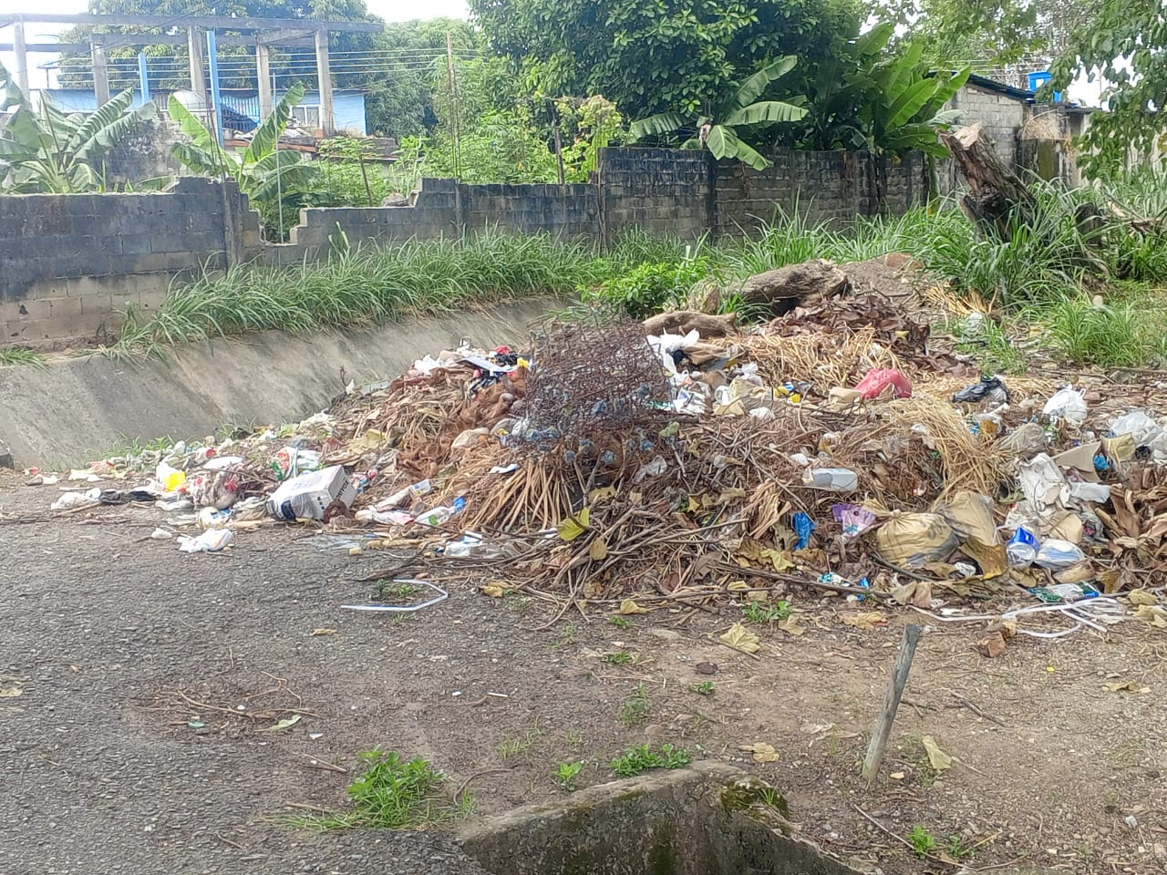 A la altura de Dominga Ortiz de Páez     Denuncian grave acumulación de basura, escombros y animales muertos en la avenida Nueva Torunos
