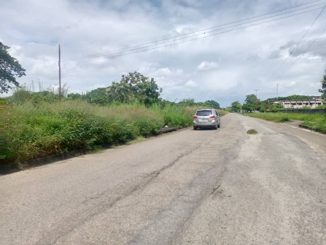 Limpieza piden en margen de la ribereña