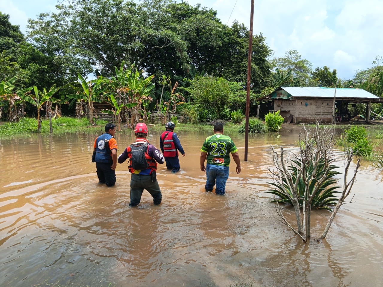 Viviendas y predios de Ezequiel Zamora resultan afectados por desbordamiento del río Caparo