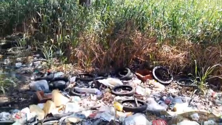 En la Urb. Coromoto parte altaTerreno de aserradero Barinas convertidoen basurero y guarida de malandros