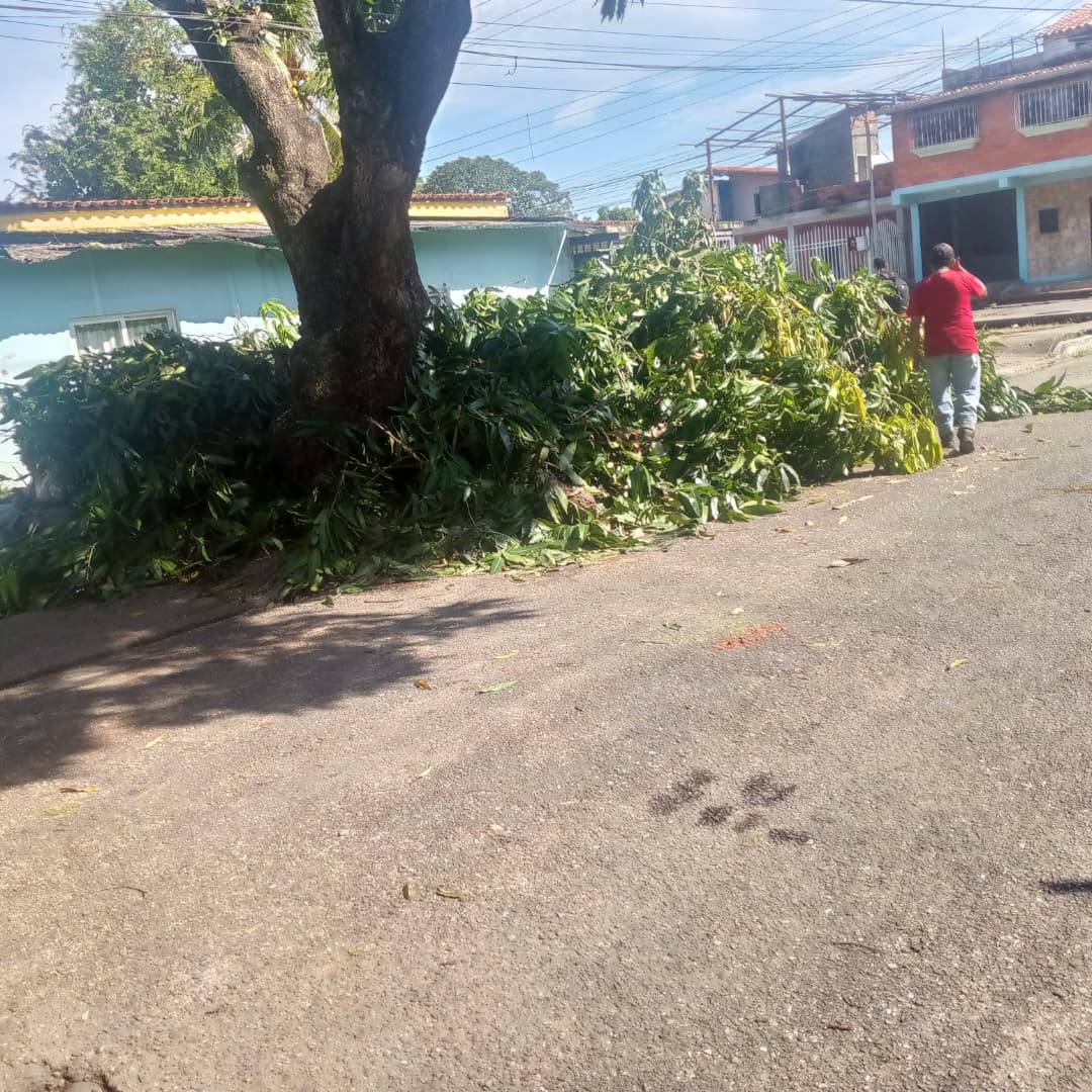 Obras y servicios para las comunidadesINTRAVIAL fortalece atención de vialidad y espacios públicos en Barinas