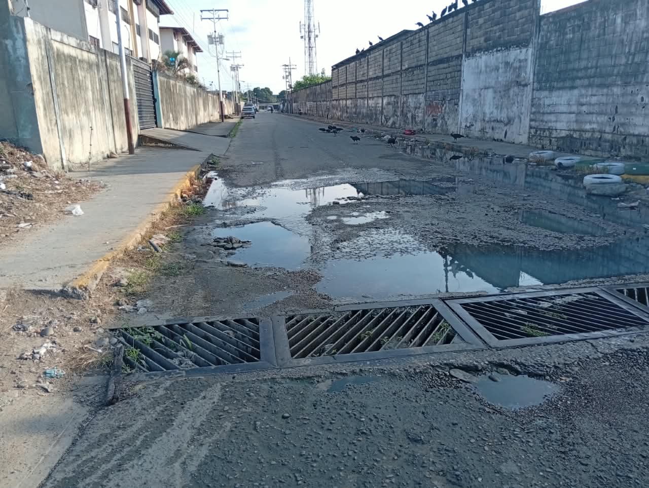 Del municipio BarinasÚltimas calles del sector Las Mercedesen deterioro y aguas servidas